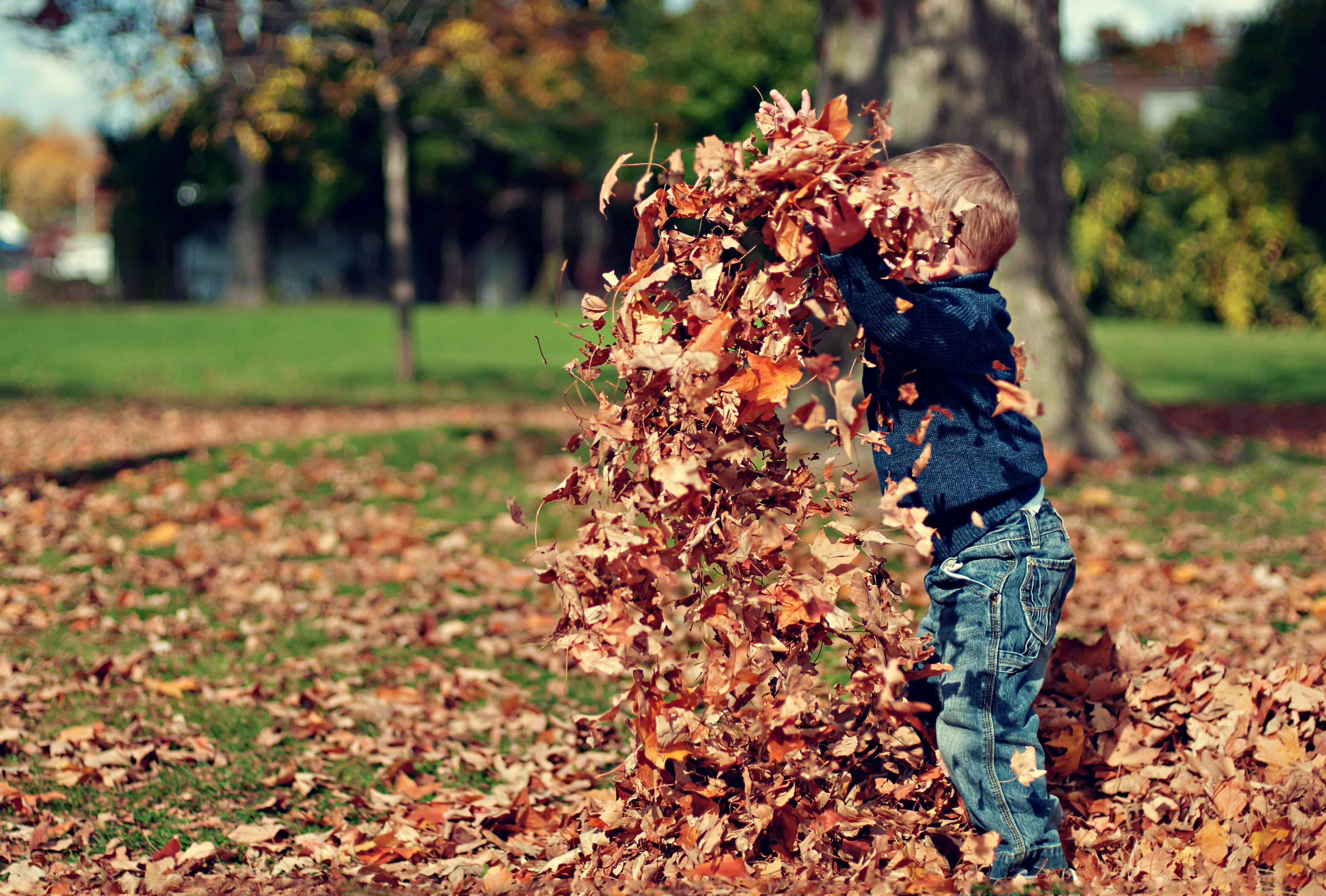 15 Cozy Activities for a Fall Weekend
