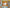 Gift Ideas for Every Personality Type