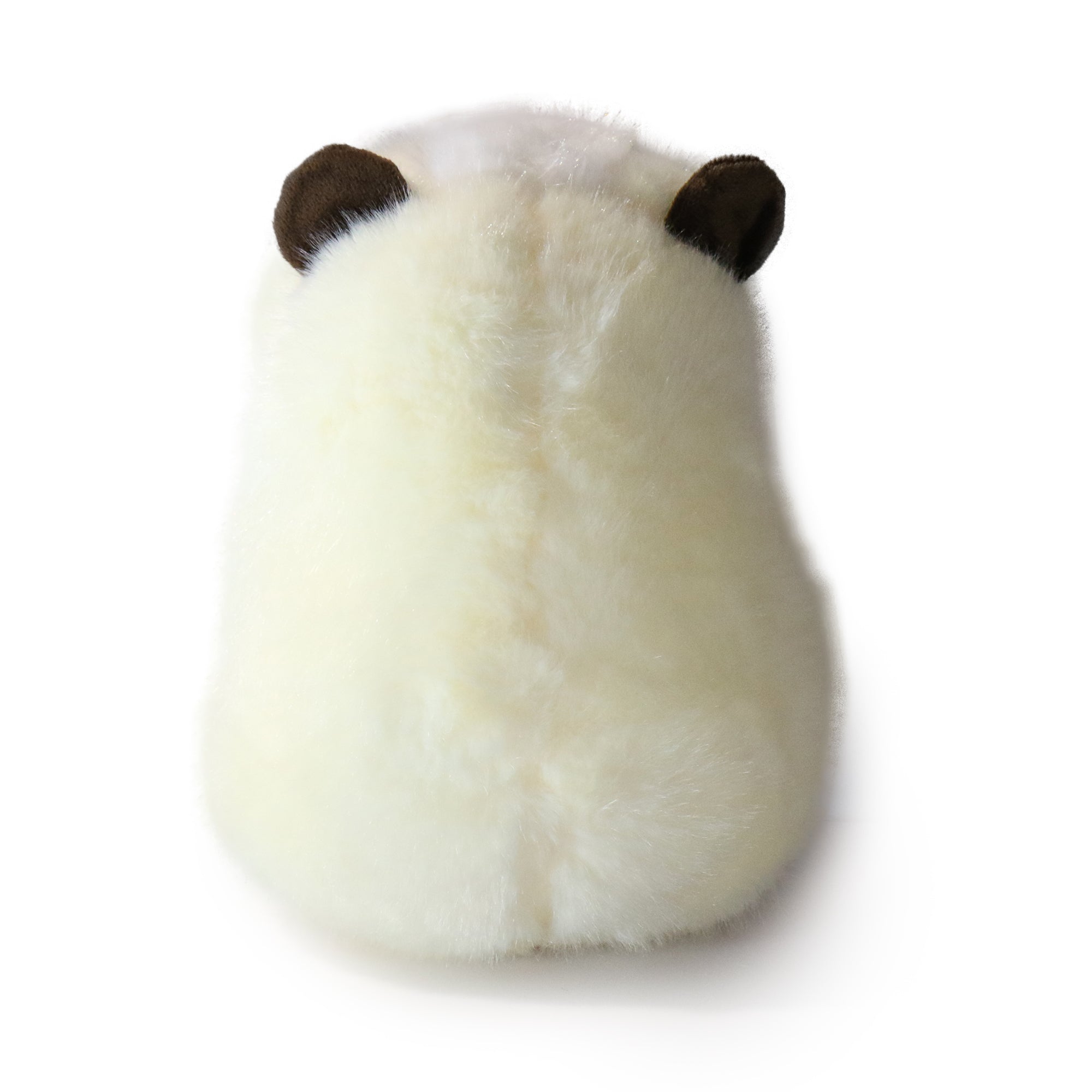 Image of 9-inch Toffee Guinea Pig with White Face