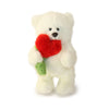 Tulabelle Teddy Bear: A Romantic Plush Toy for Couples, Sweethearts, and Anniversaries