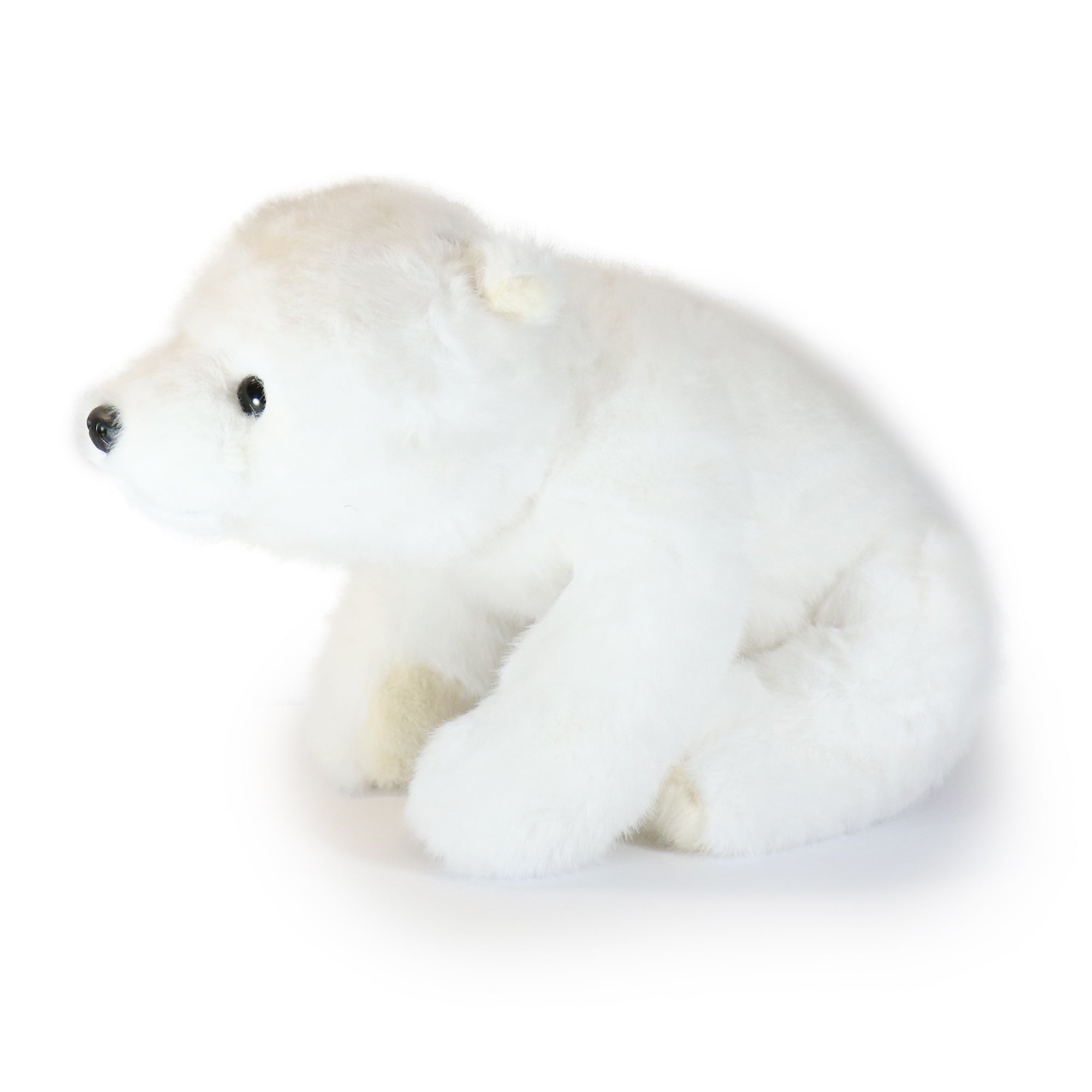Image of 13-inch White Frosty Bear