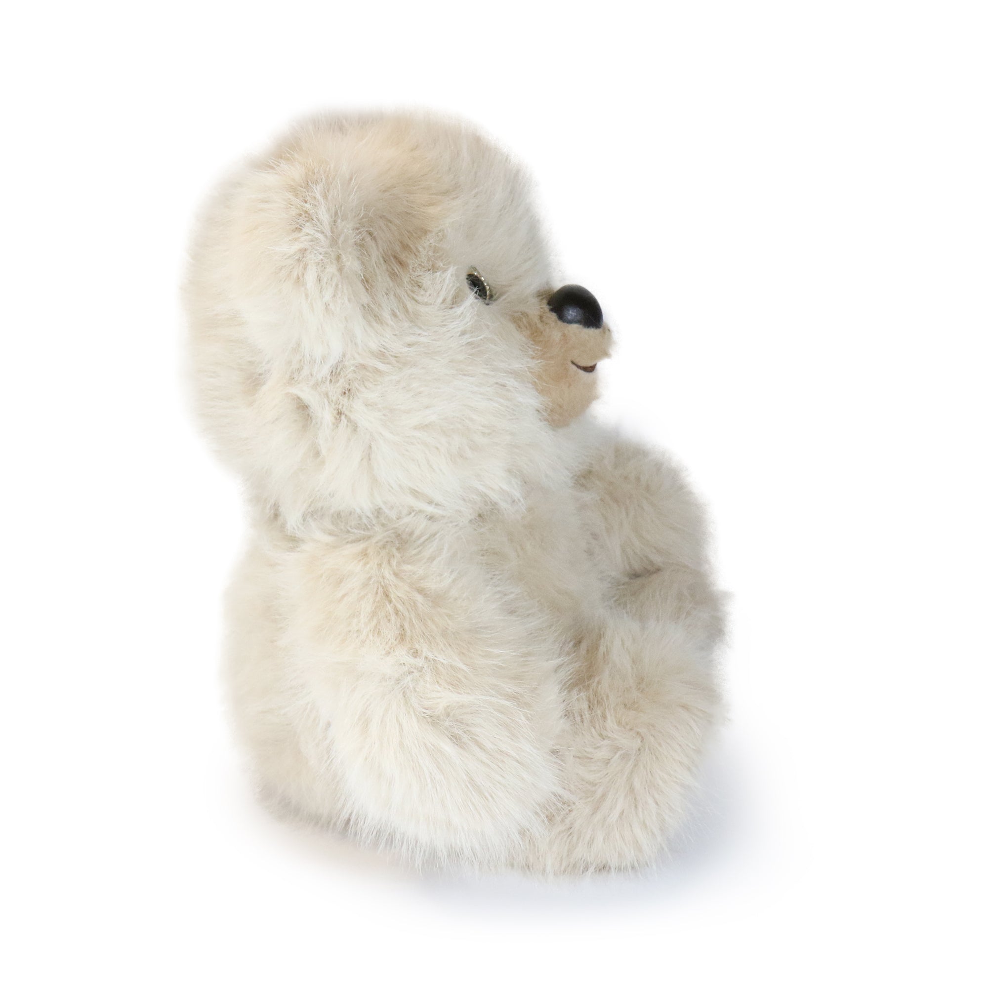 Image of Honeywood Bear