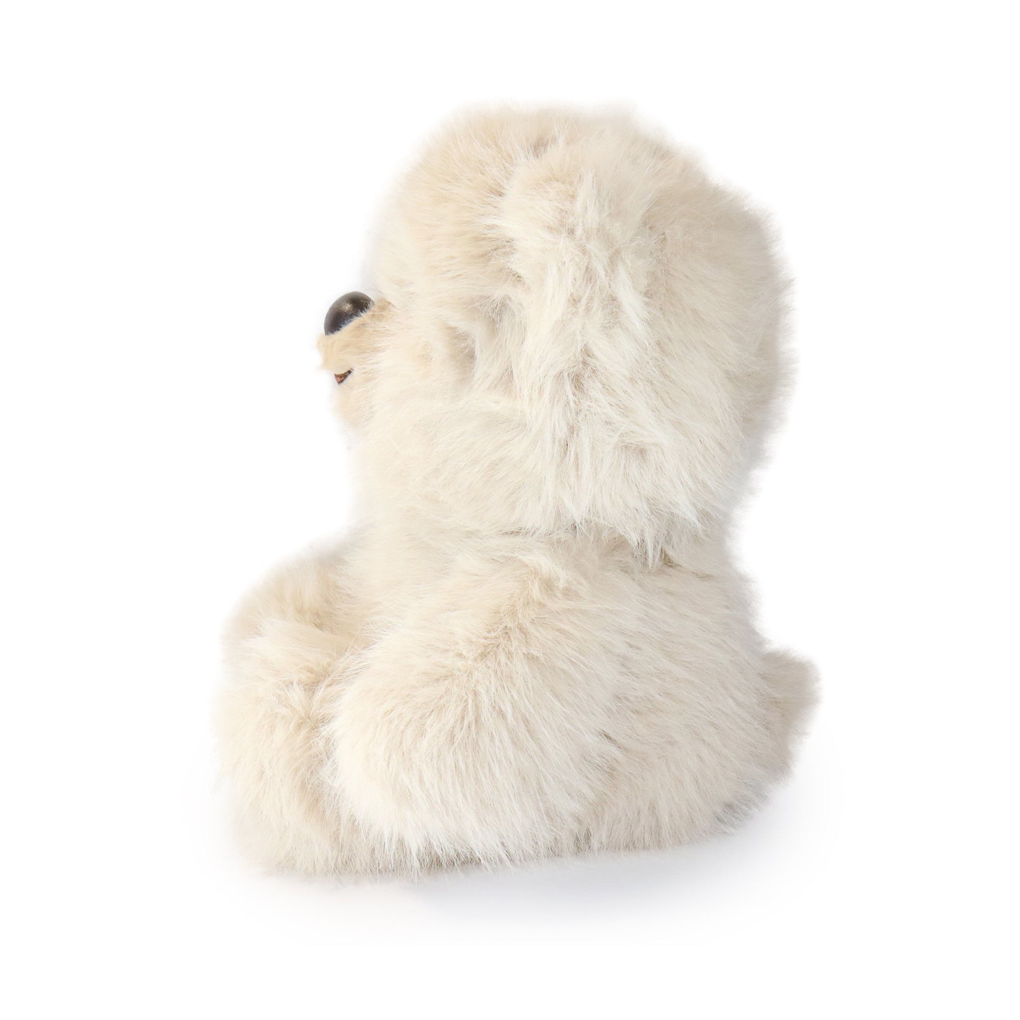 Image of Honeywood Bear