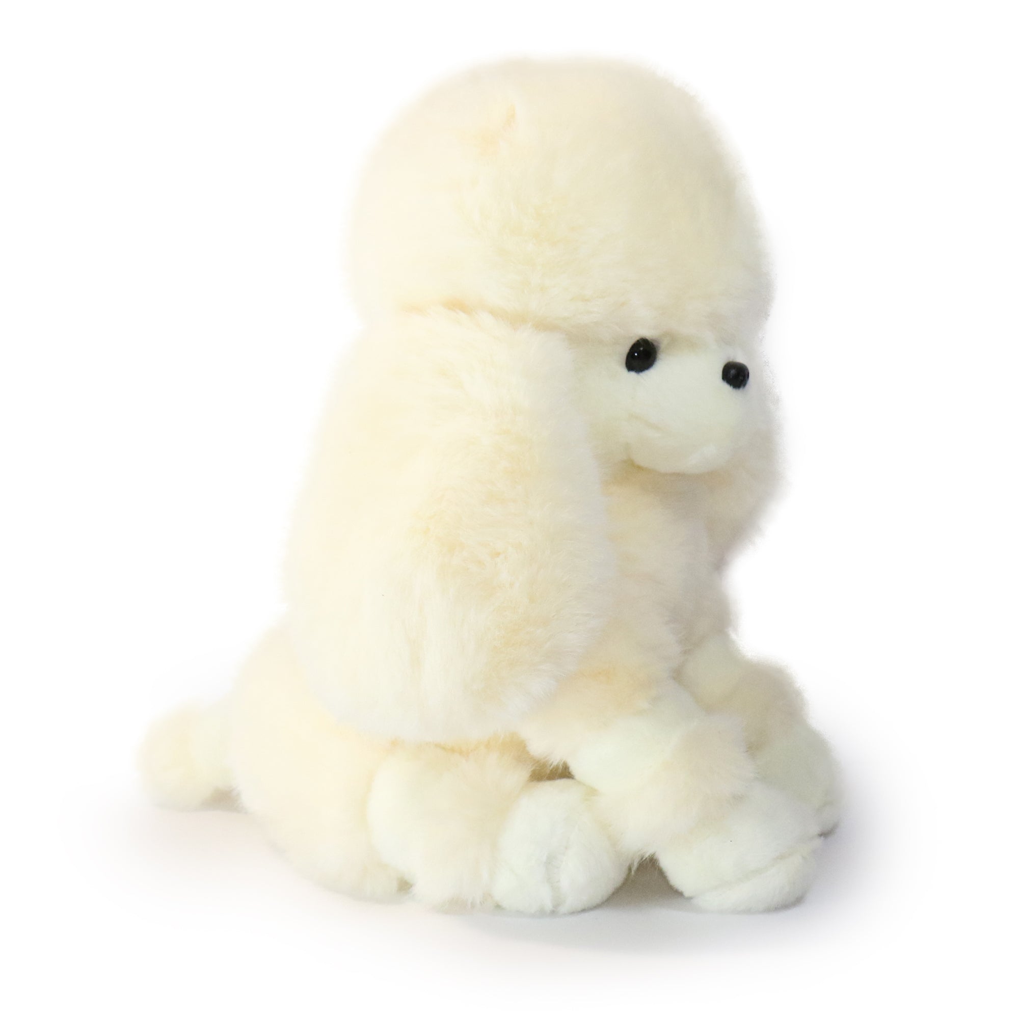 Pawla Poodle: A Fluffy Plush Toy Made for Styling, Fashion, and Play