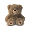 Honeywood Bear: A Plush Toy for Caregivers, Nurturers, and Comfort Givers
