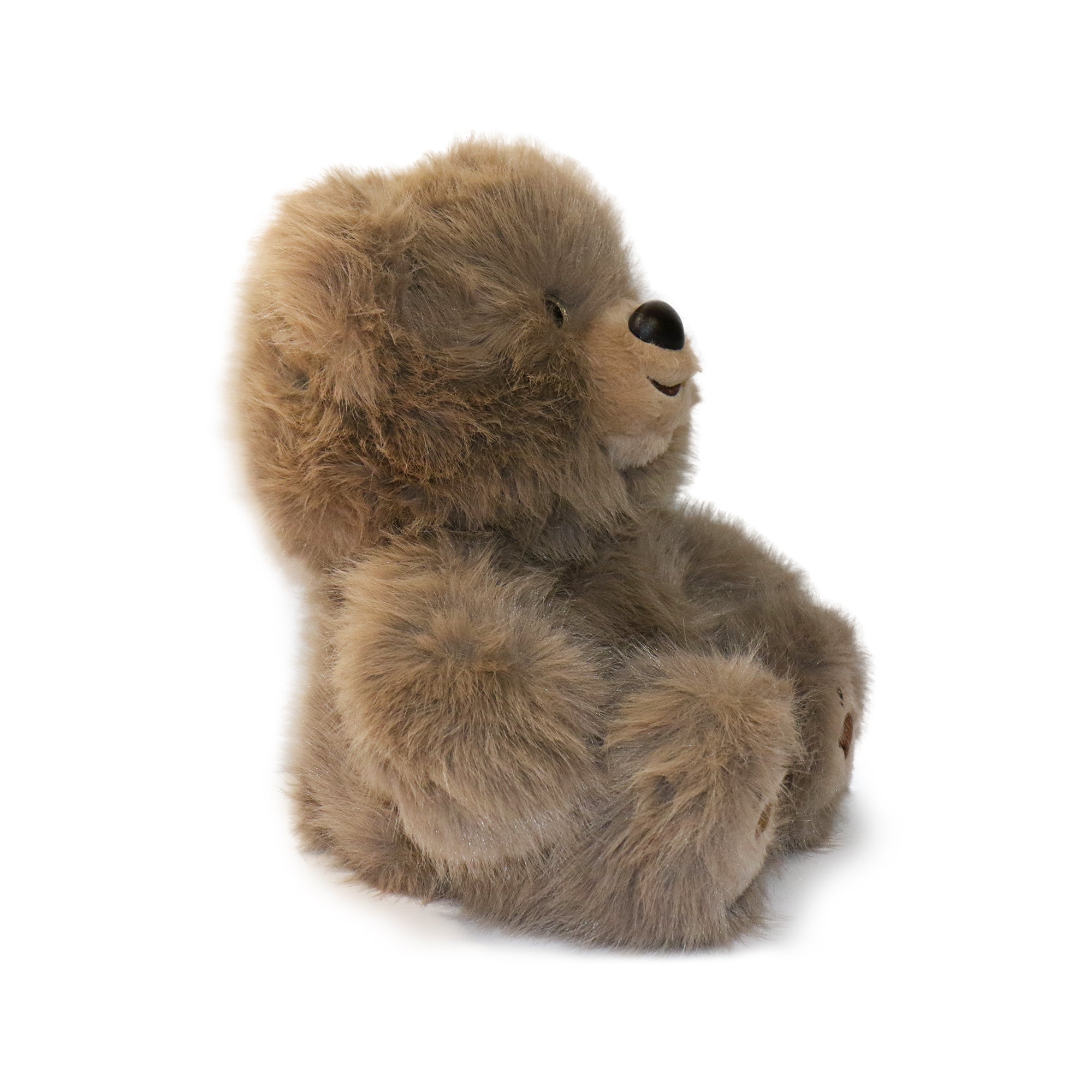 Image of Honeywood Bear
