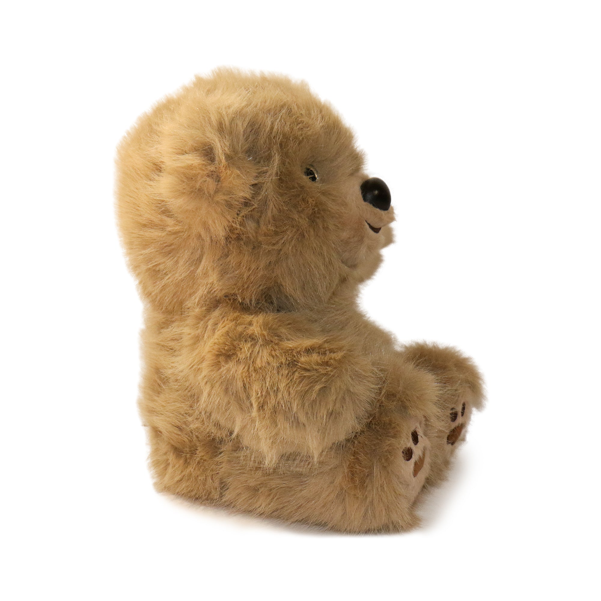 Image of Honeywood Bear