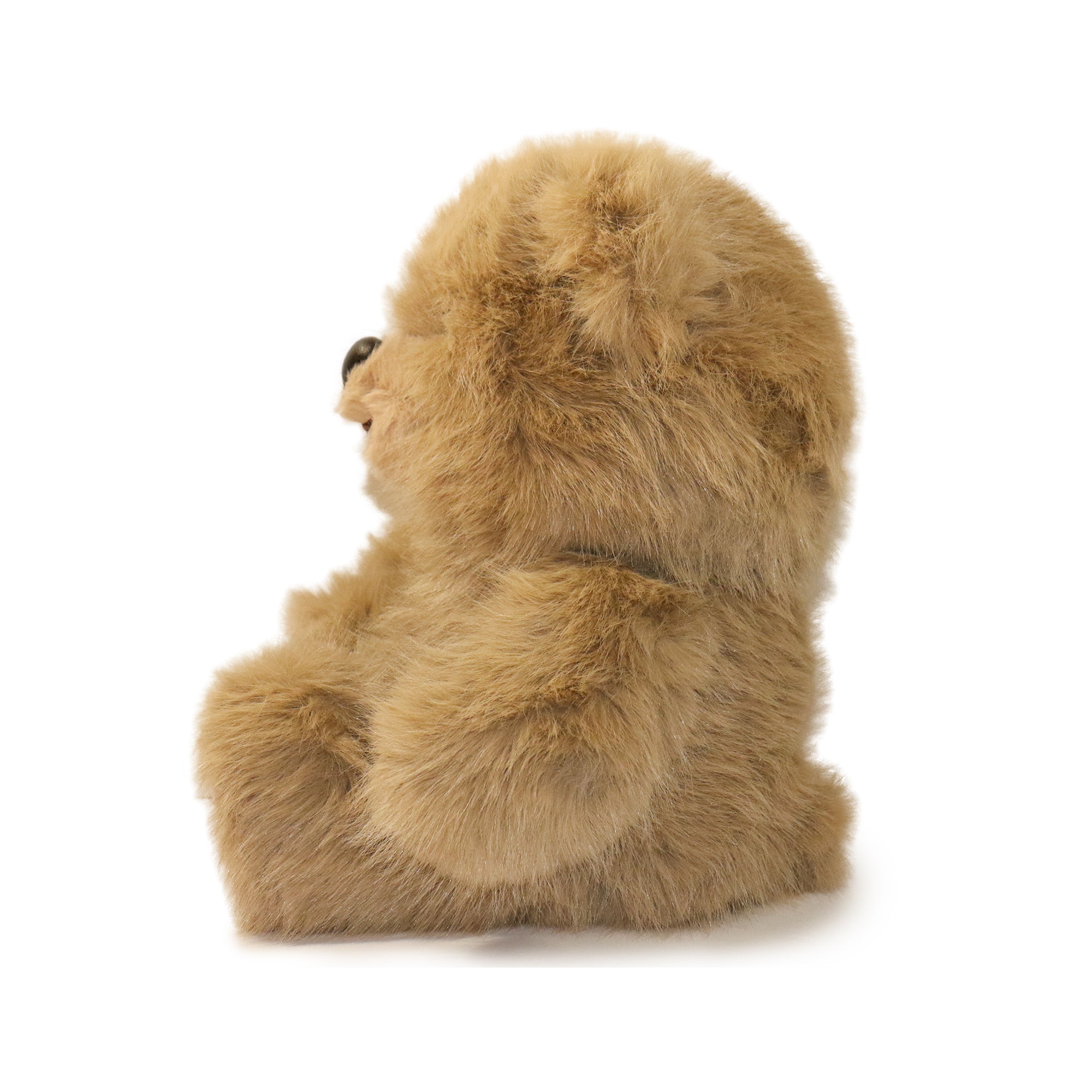 Image of Honeywood Bear