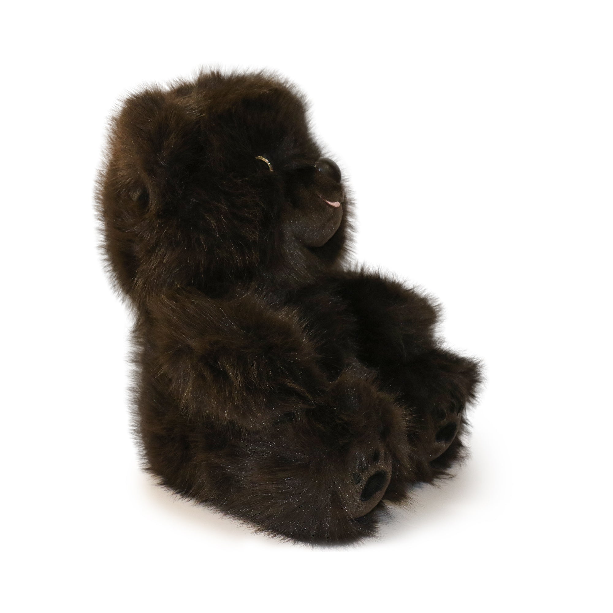 Image of Honeywood Bear