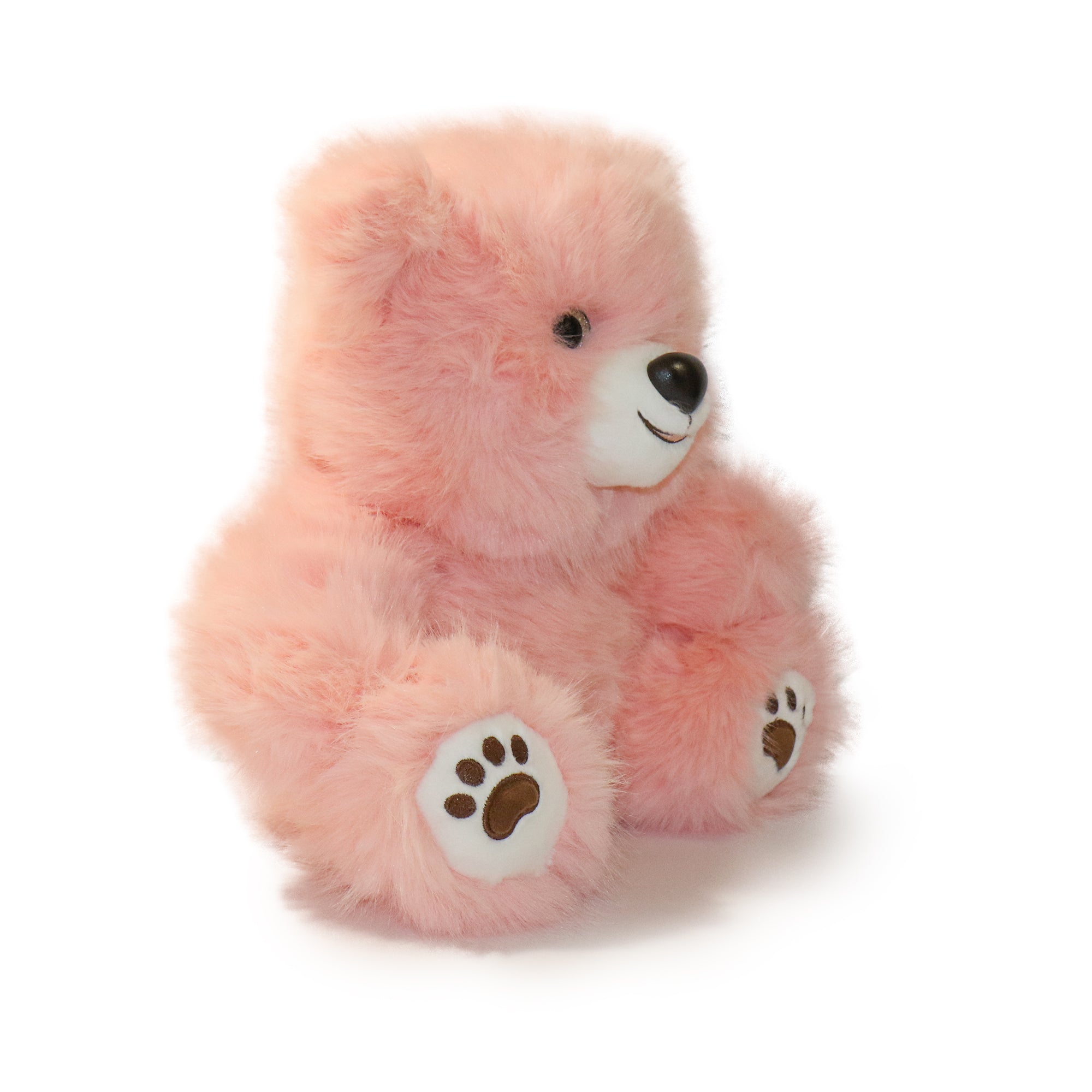 Image of Honeywood Bear