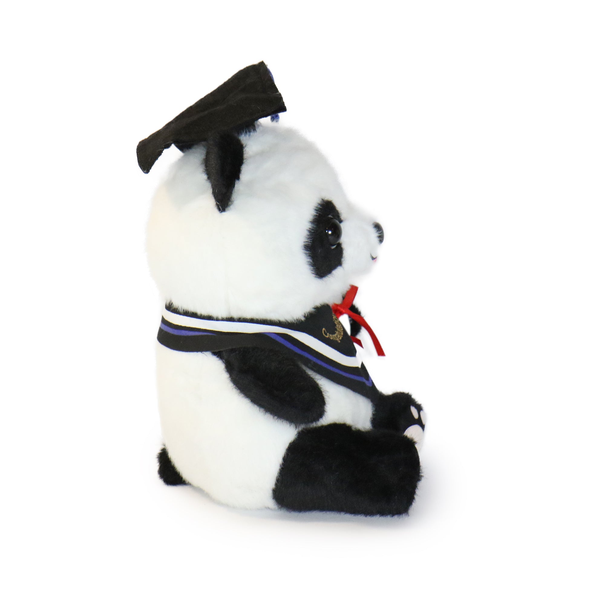 Image of 10-Inch Black and White Ollie Panda with Congratulations sash