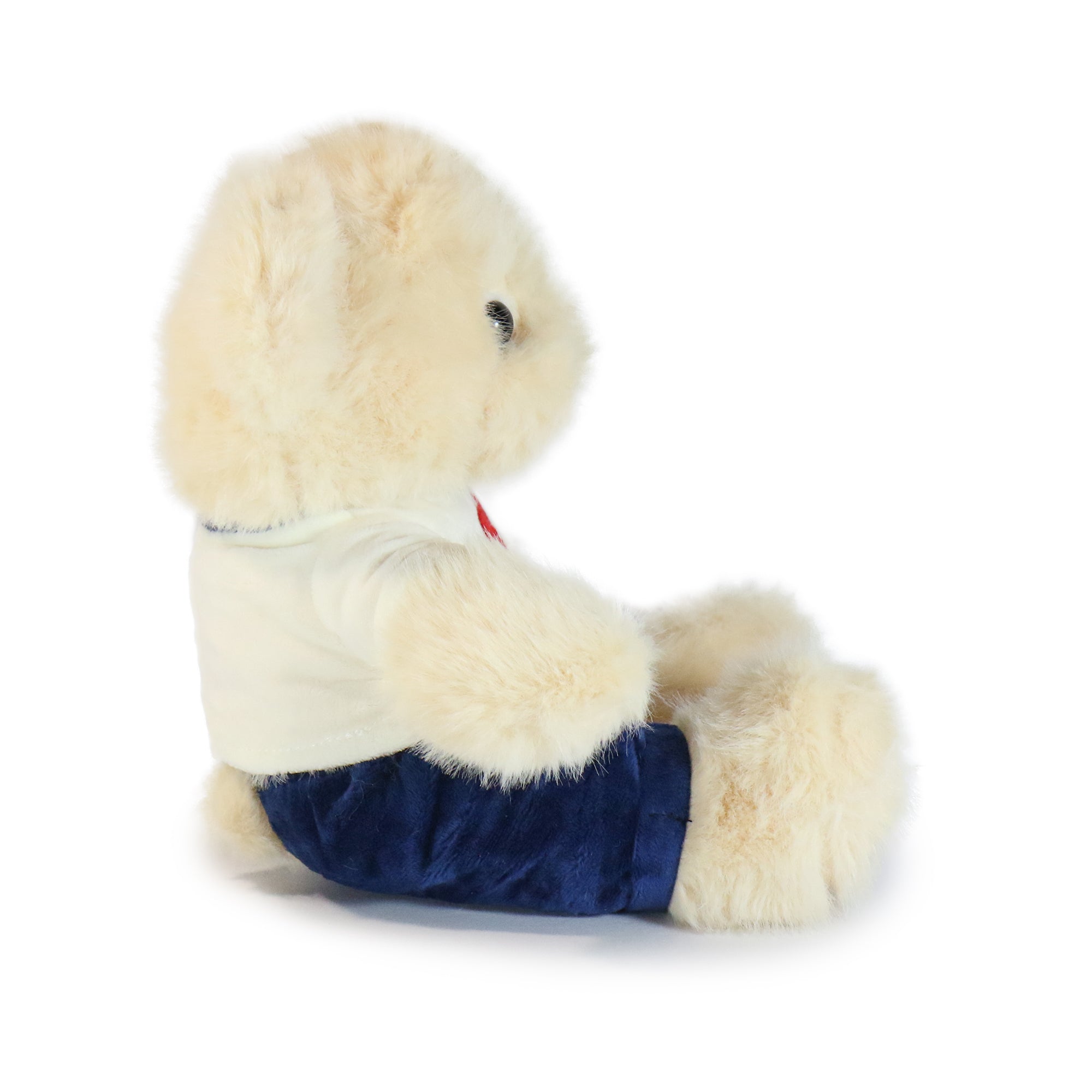 Image of 12-inch Huggable Bear with Heart Shirt