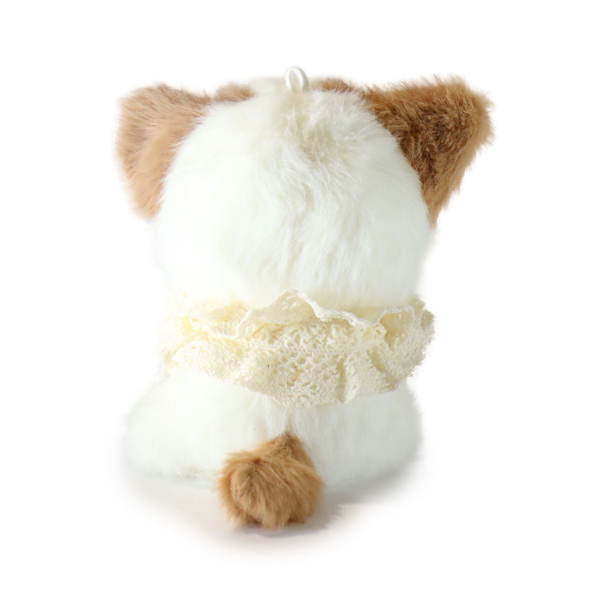 Image of 5-inch Tiny Tootie Cat with Flower Bow